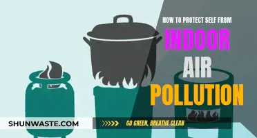 Protecting Yourself from Indoor Air Pollution: Tips and Strategies