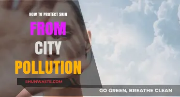 Protecting Skin from Urban Pollution: Tips for Healthy Complexion