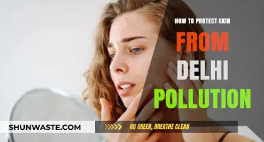 Protecting Skin from Delhi's Pollution: A Guide