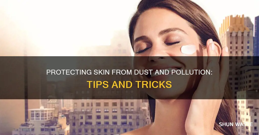 how to protect skin from dust and pollution
