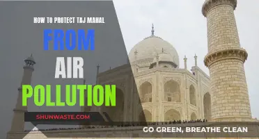 Protecting the Taj Mahal: Strategies Against Air Pollution