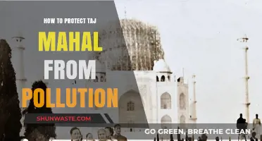 Protecting Taj Mahal: Strategies Against Pollution
