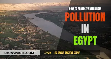 Preserving Egypt's Water: Strategies to Combat Pollution