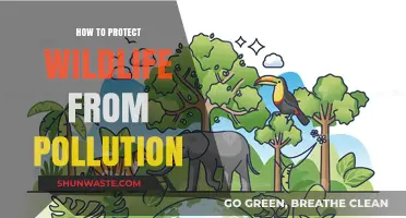 Protecting Wildlife: Strategies Against Pollution