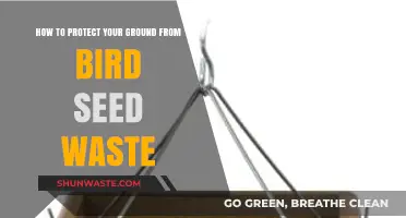 Prevent Bird Seed Mess: Effective Tips to Protect Your Ground
