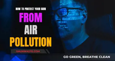 Protect Your Skin: Combat Air Pollution Damage