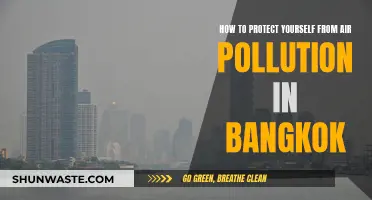 Protecting Yourself from Bangkok's Air Pollution