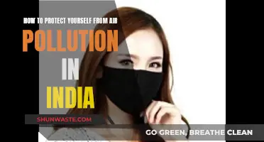 Protecting Yourself from India's Air Pollution