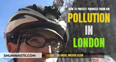 Protecting Yourself from London's Air Pollution