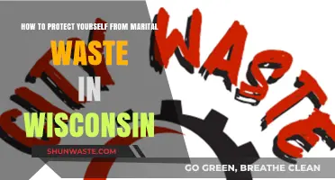 Protecting Your Assets: Avoiding Marital Waste in Wisconsin Divorces