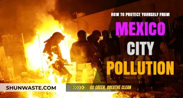 Protecting Yourself from Mexico City's Pollution