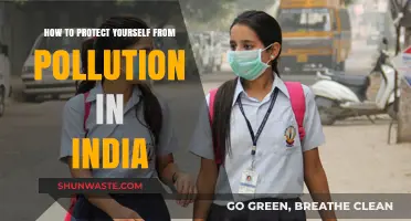 Protecting Yourself from India's Pollution: A Survival Guide
