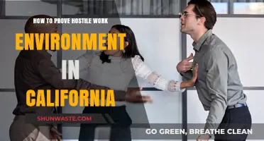 Proving a Hostile Work Environment in California: Essential Steps and Evidence