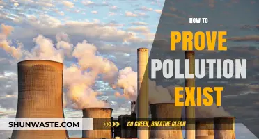 Visible Pollution: Proof and Action