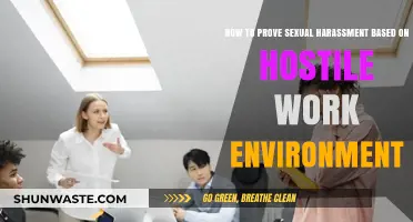 Proving Sexual Harassment: Hostile Work Environment Claims Explained