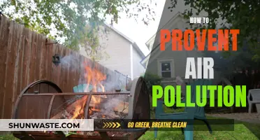 Preventing Air Pollution: Simple Steps for Clean Air
