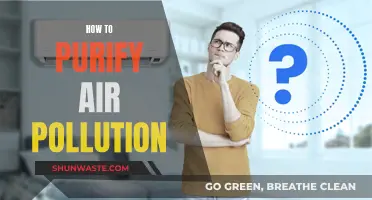 Purifying Air Pollution: Natural Solutions for Cleaner Air