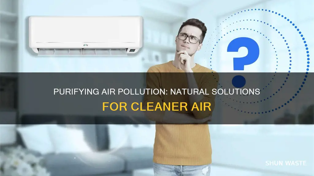 how to purify air pollution