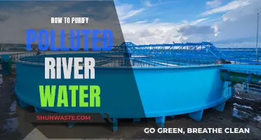 Revive Rivers: Effective Methods for Water Purification