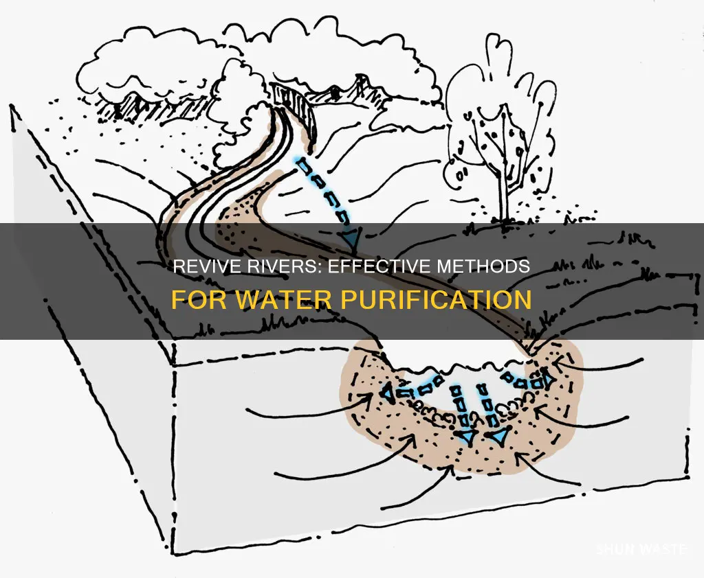 how to purify polluted river water