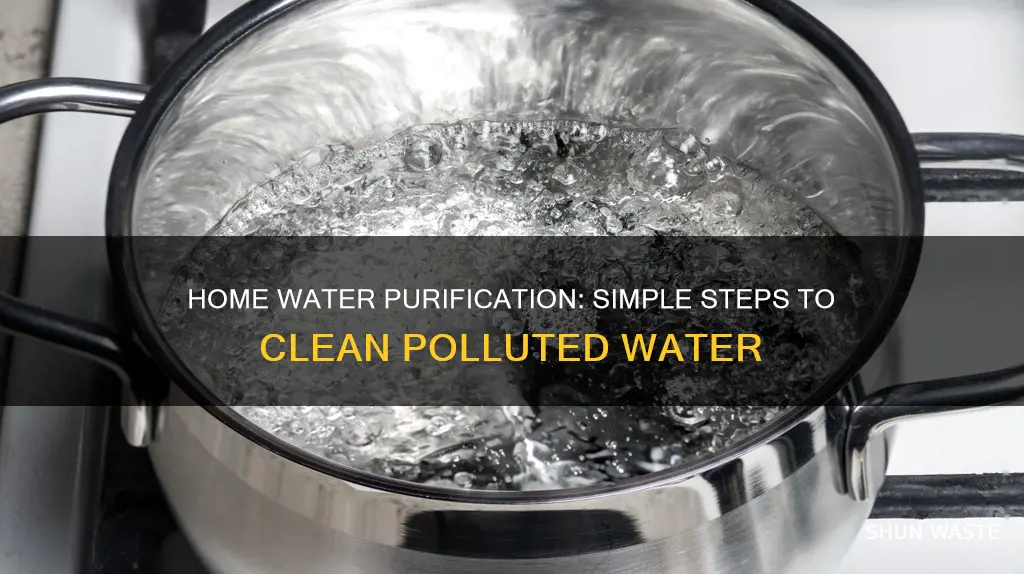 how to purify polluted water at home