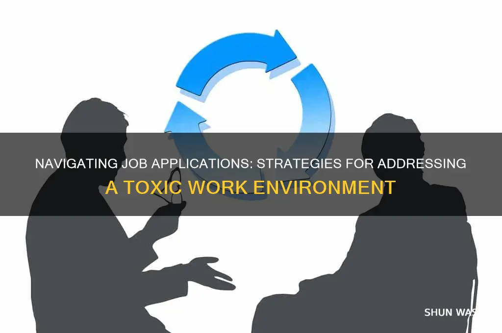 how to put a bad environment on a job application