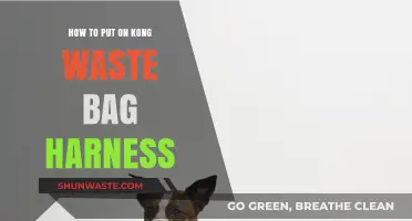 Easy Steps to Attach a Kong Waste Bag Harness for Walks