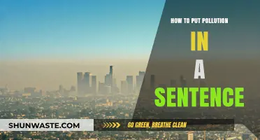 Understanding Pollution: Crafting Sentences to Convey the Message