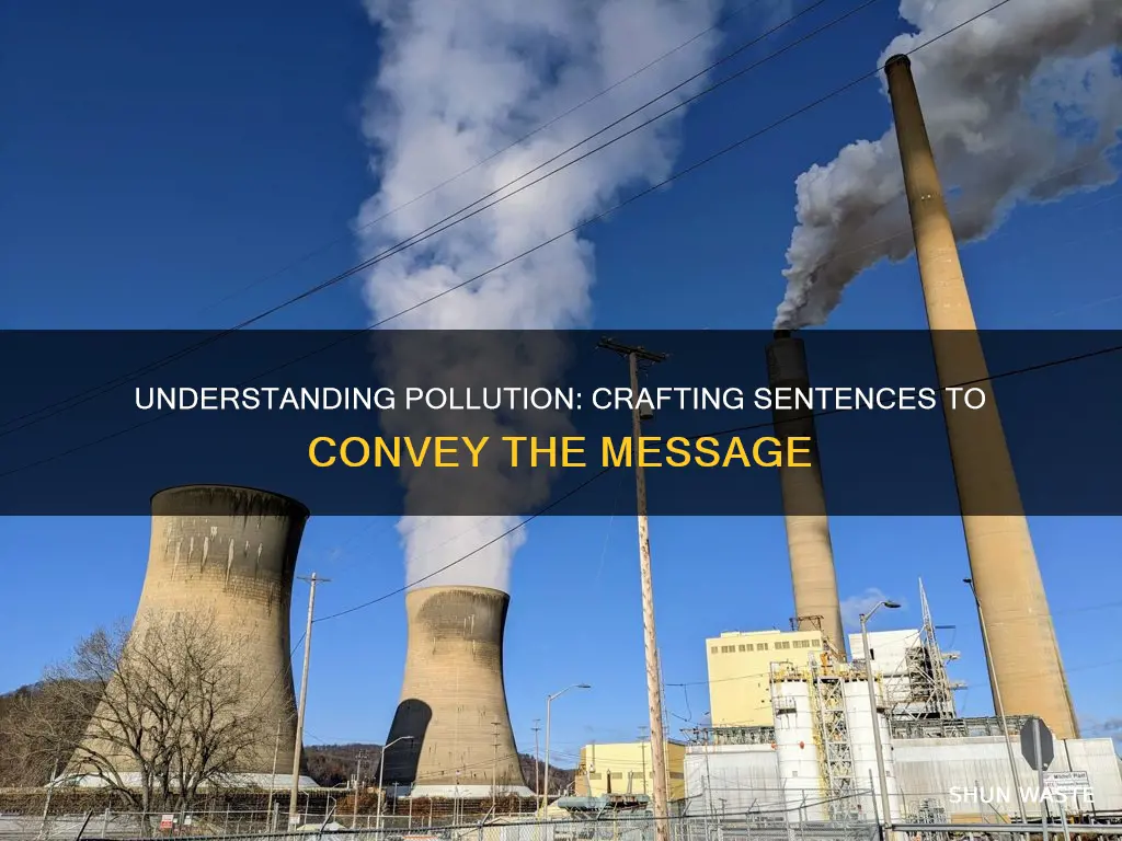 how to put pollution in a sentence