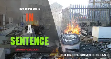 Mastering Grammar: Creative Ways to Use 'Waste' in Sentences