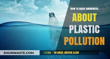 Spreading Awareness: Combating Plastic Pollution's Impact