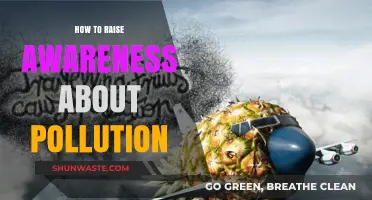 Pollution Awareness: Strategies for Effective Education and Advocacy