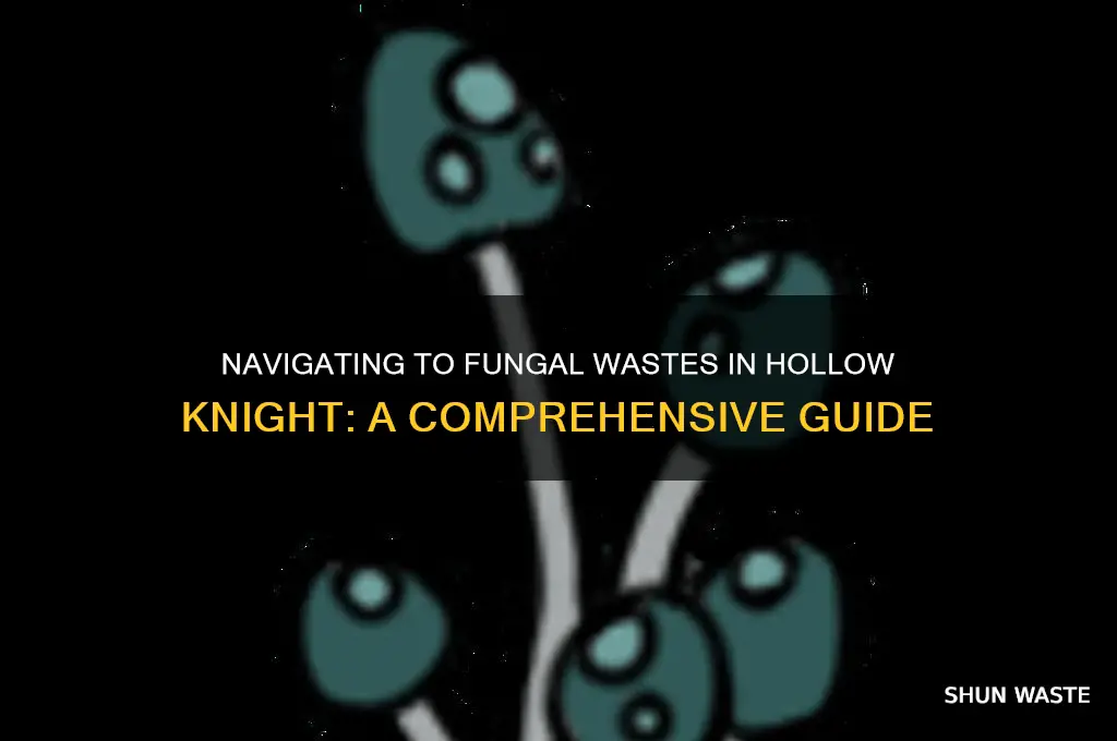 how to reach fungal wastes in hollow knight