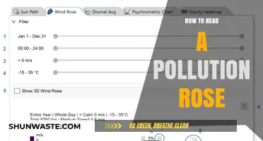 Understanding Wind Patterns: Reading a Pollution Rose