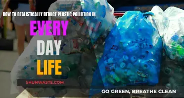 Reducing Plastic Pollution: Everyday Actions for a Healthier Planet