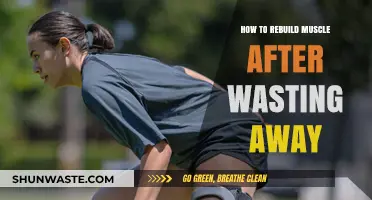 Rebuilding Muscle: Effective Strategies to Recover from Muscle Atrophy