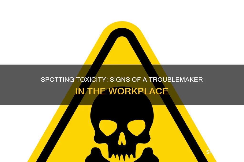 how to recognized someone creating a toxic work environment
