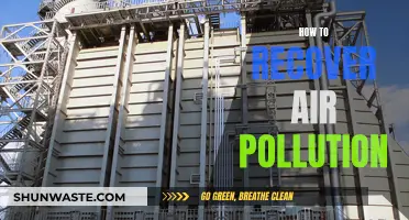 Restoring Clean Air: Reversing the Damage of Pollution