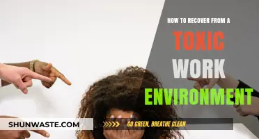 Healing and Rebuilding: Strategies to Recover from a Toxic Workplace