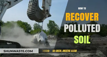 Restoring Soil Health: Strategies for Reviving Polluted Earth