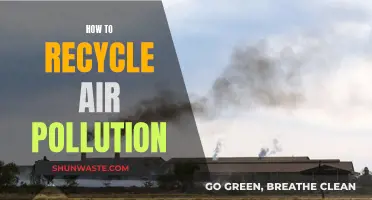 Purifying the Air: Innovative Ways to Recycle Pollution