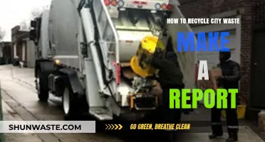 Effective Strategies for Recycling City Waste: A Comprehensive Report Guide