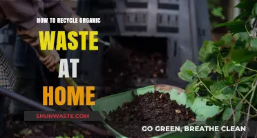 Transform Your Kitchen Scraps: Easy Home Composting for Organic Waste