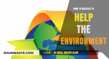 Eco-Friendly Recycling Tips: Simple Steps to Protect Our Planet