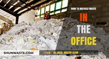 Eco-Friendly Office: Simple Steps to Recycle Workplace Waste Effectively
