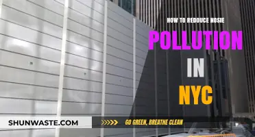 Quieting NYC: Strategies to Reduce Noise Pollution
