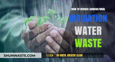 Smart Strategies to Minimize Water Waste in Agricultural Irrigation