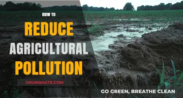 Reducing Agricultural Pollution: Strategies for a Sustainable Future