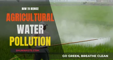 Mitigating Agricultural Water Pollution: Strategies for Sustainable Farming