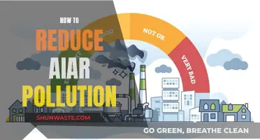 Purifying Air: Simple Steps to Reduce Air Pollution